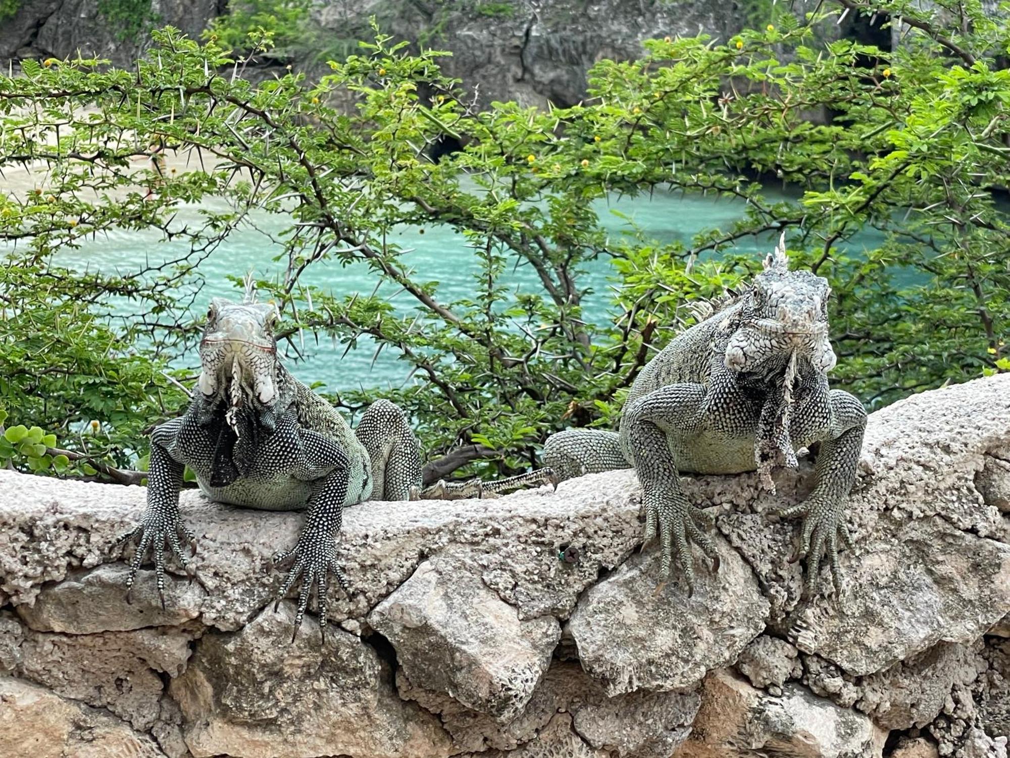 Finisterre Curacao Villa Westpunt Luaran gambar