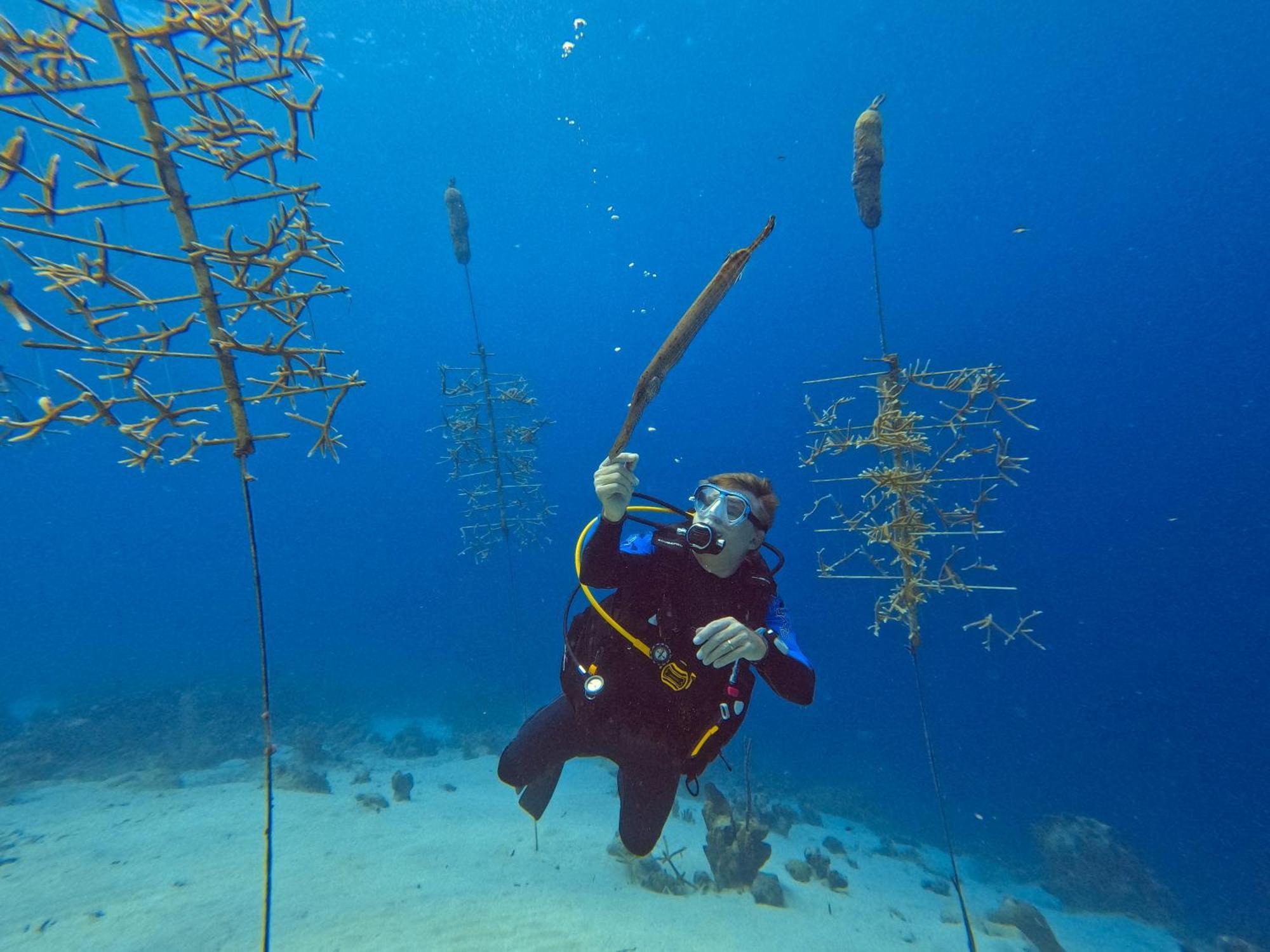 Finisterre Curacao Villa Westpunt Luaran gambar